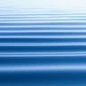 Meet your Posher, Jacqueline